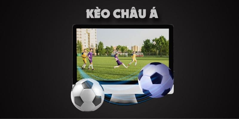 Cách đọc chi tiết trong bảng tỷ lệ